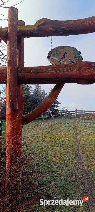 Bele wejściebelki Jarosław