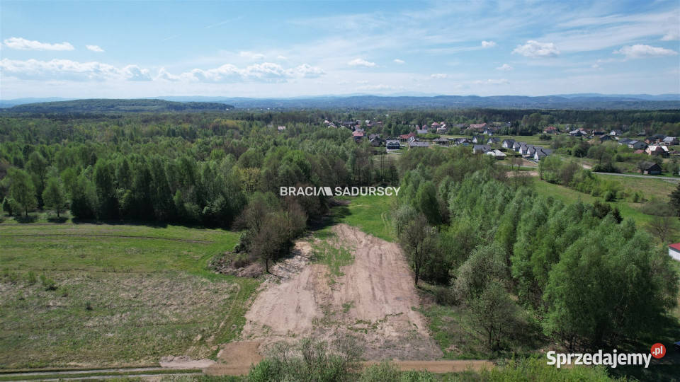 sprzedaży działki 5290m2 Przeginia Narodowa telefon sprzedam