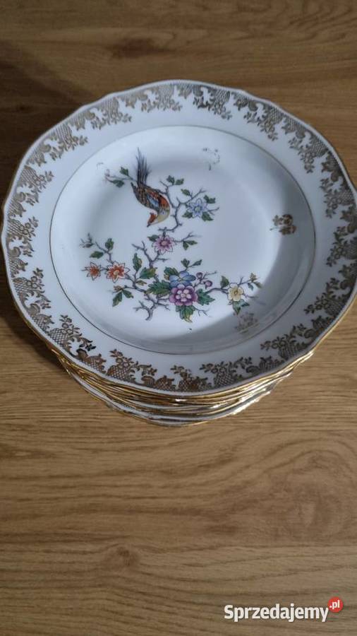 Talerze Obiadowe Porcelana Francuska Dom i Ogród Wola Podłężna