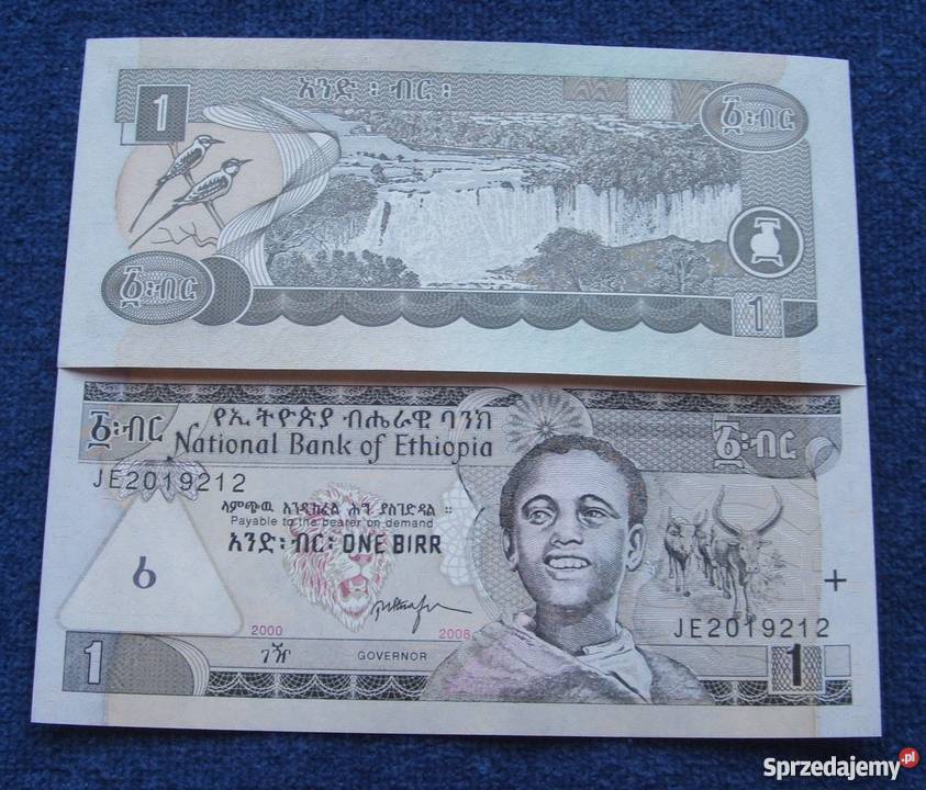 ETIOPIA 1 BIRR Kolekcjonerski Banknot 1 sztuka Katowice