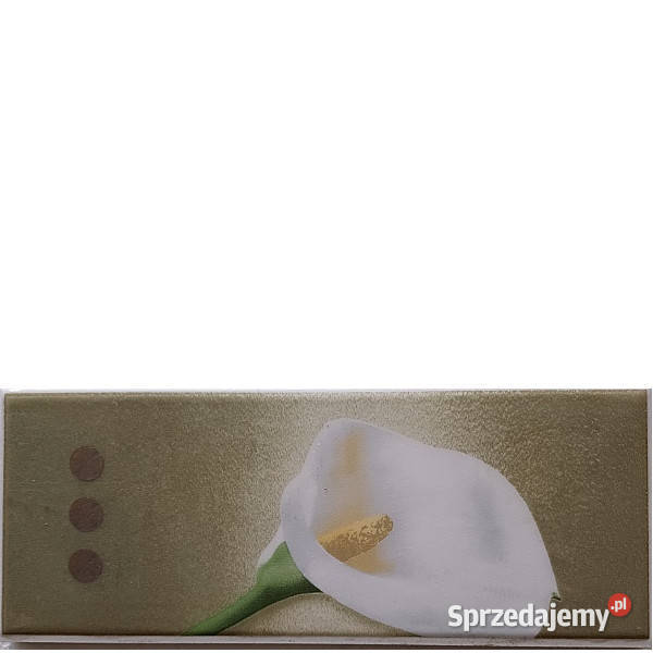 Listwa Katania zefir A Kwiat 98 x 25 Paradyż