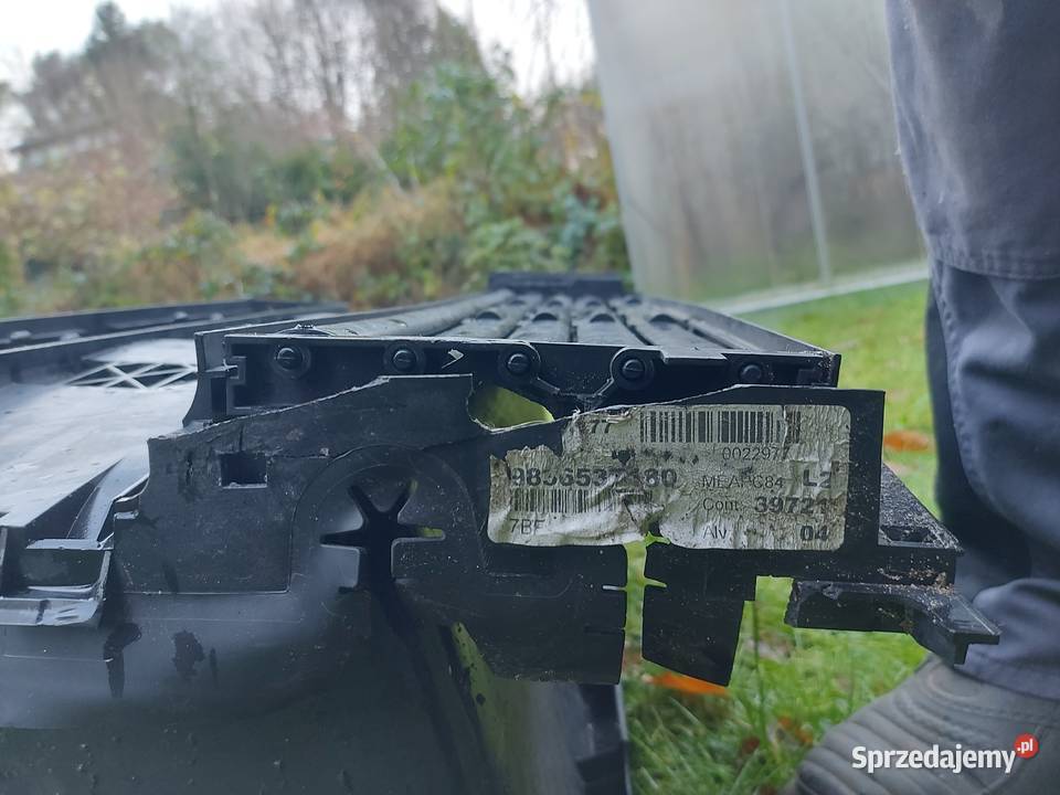 Antrapa CITROEN C5 AIRCROSS pomorskie Gdańsk