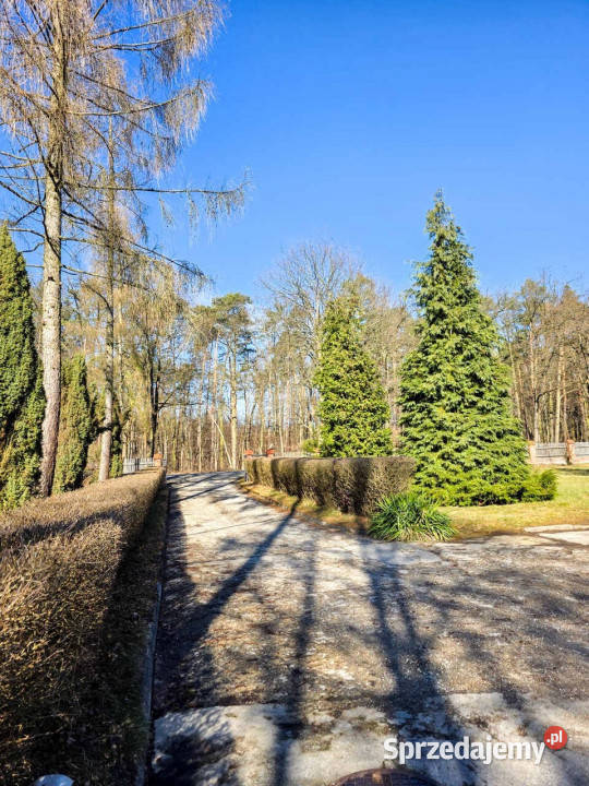 Mieszkanie Grabowiec 7452m2 3pokojowe Sprzedaż Sprzedaż