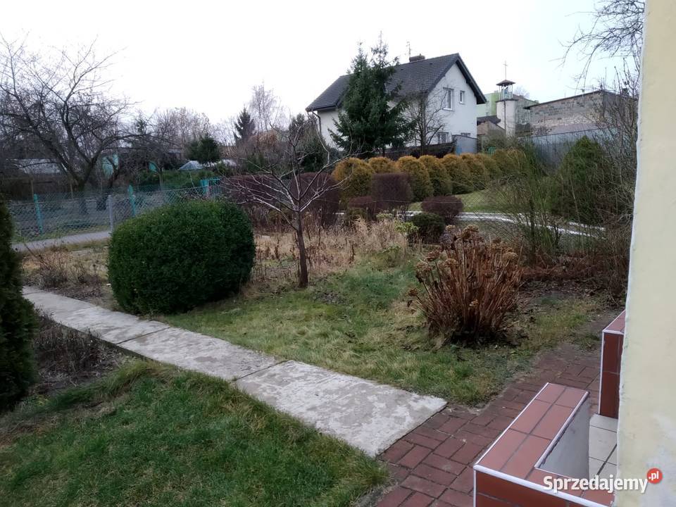 DZIAŁKA ROD TYSIĄCLECIE CZĘSTOCHOWA Częstochowa