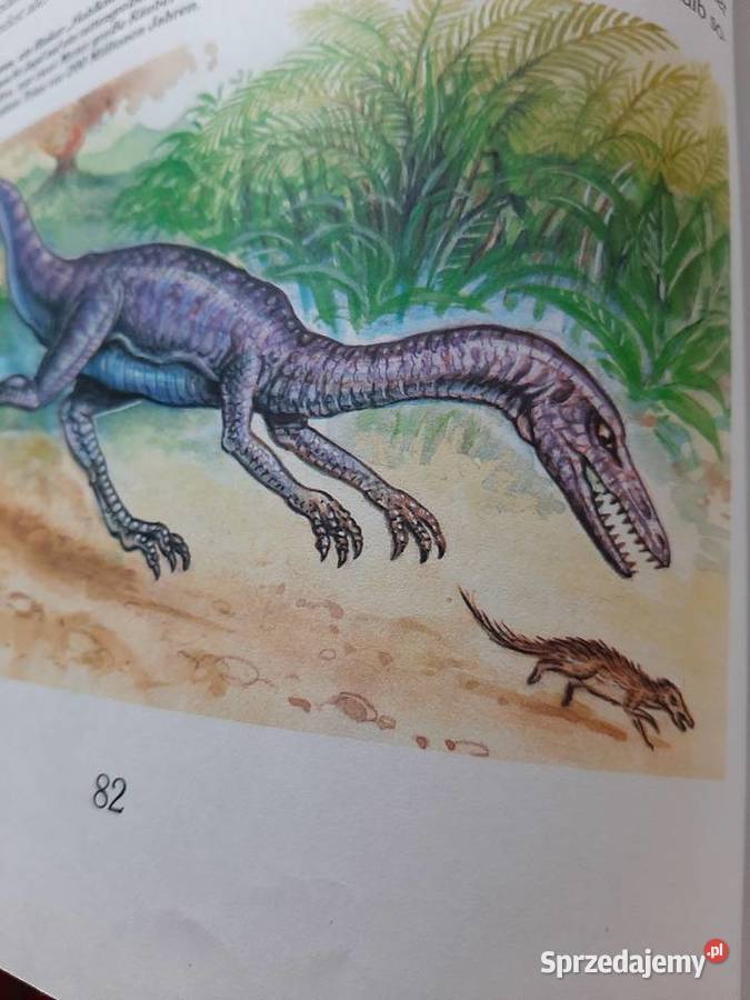 Dinosaurier grosse Buch Pozostałe Stronie Śląskie