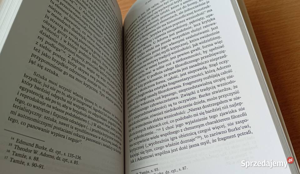 Międzyludzie koncepcja podmiotowości w pismach Rok wydania 2004 Książki i Podręczniki Gdańsk