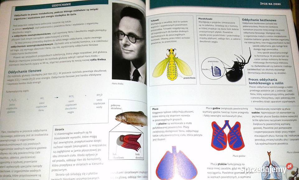 Świat i natura Najciekawsze fakty Joanna Kapusta