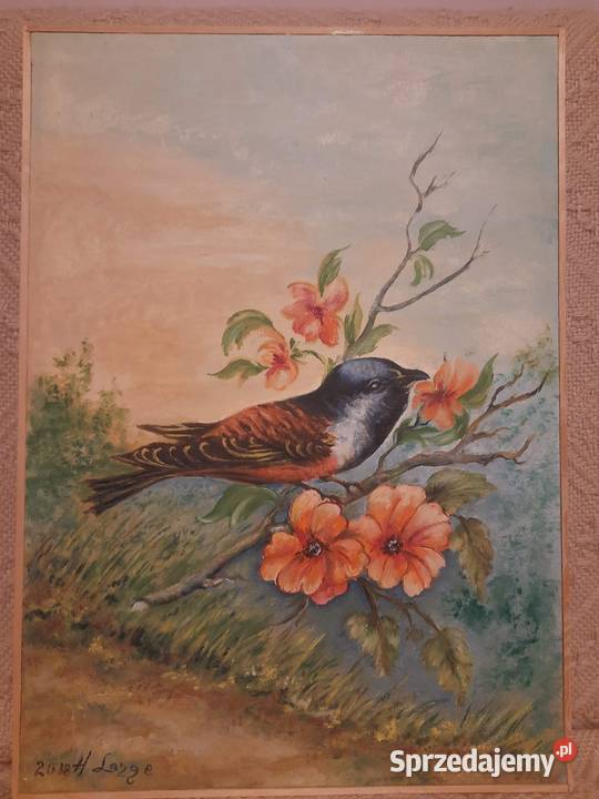 Ptak na kwitnącej gałązce36x50Hieronim Lange Poznań