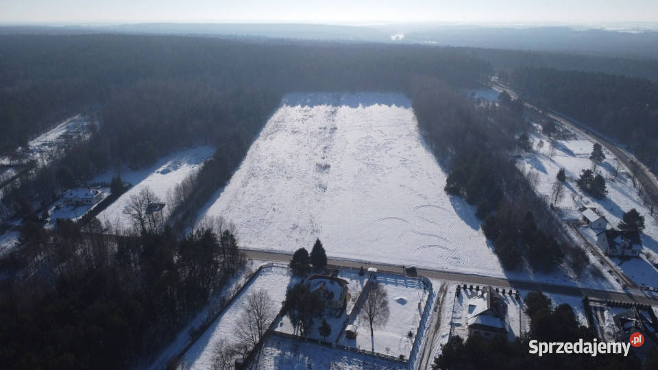 Sprzedaż gruntu Daleszyce 23170m2