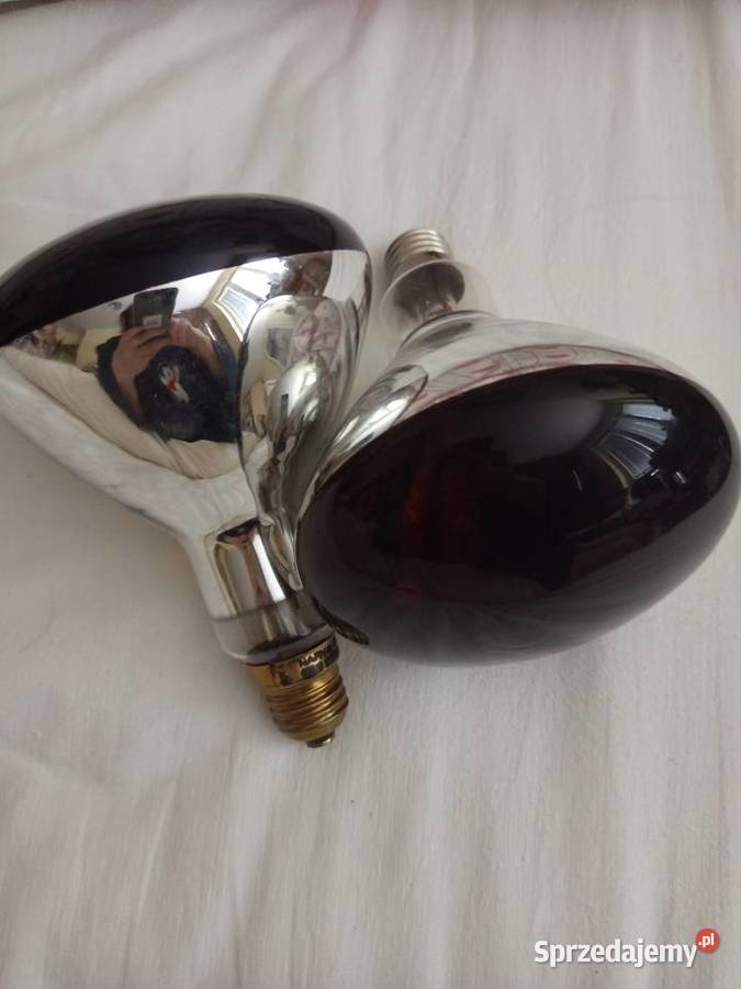 Żarówki 250 W 2 sztuki mazowieckie Warszawa