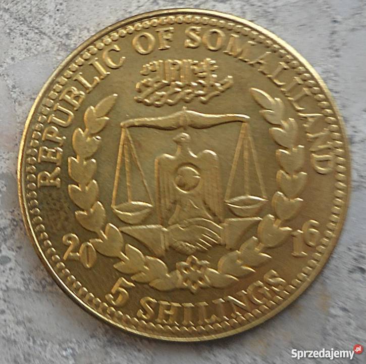 SOMALILAND5 SHILINGS2016 r KOT Numizmatyka Legionowo