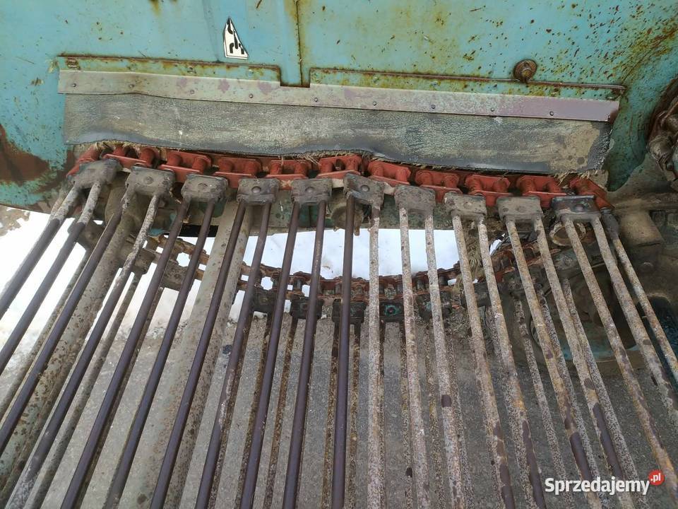Kopaczka do ziemniaków Elewatorowa 2rzędowa nieuszkodzony Dąbrowa Tarnowska sprzedam