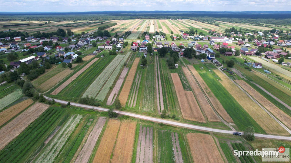 Działka Aleksandrów 2900m2 lubelskie