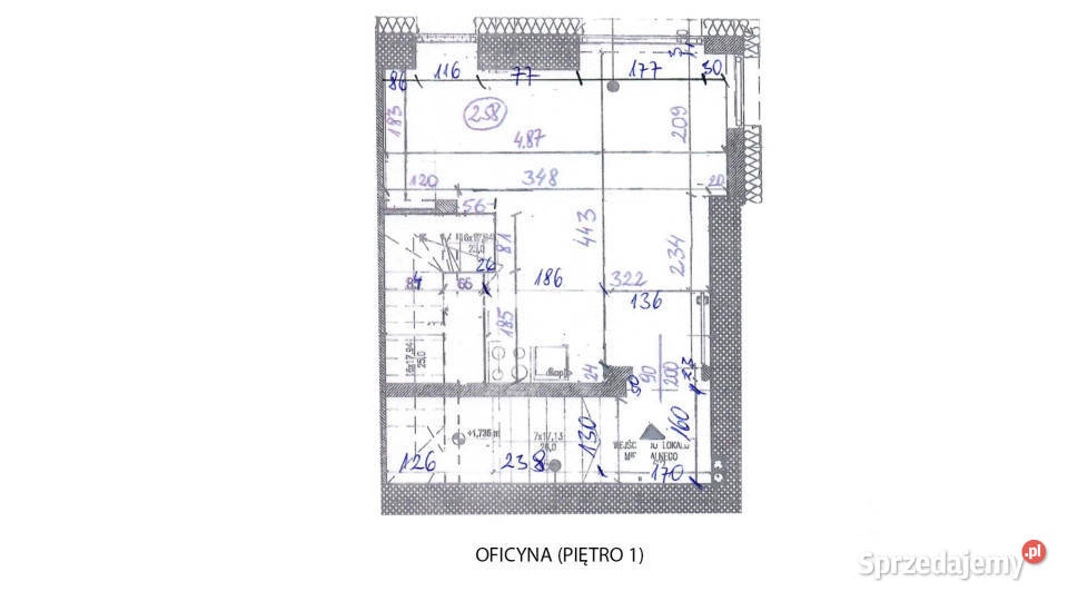 wynajmu lokalu 475m2 Kraków Retoryka