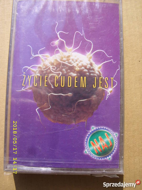 Skladanka kaseta ZYCIE CUDEM JEST folia Wołów