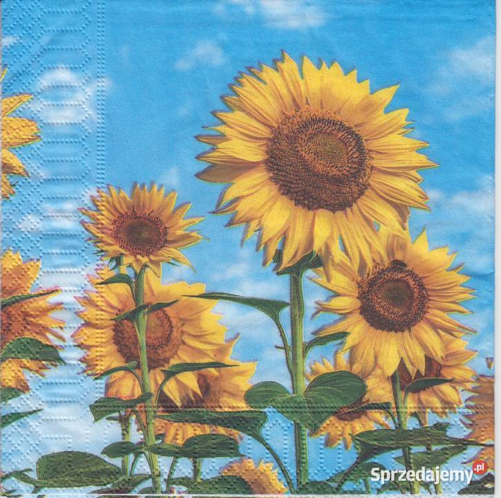 Dekupaż serwetki róża kwiaty słoneczniki lato Skarżysko-Kamienna