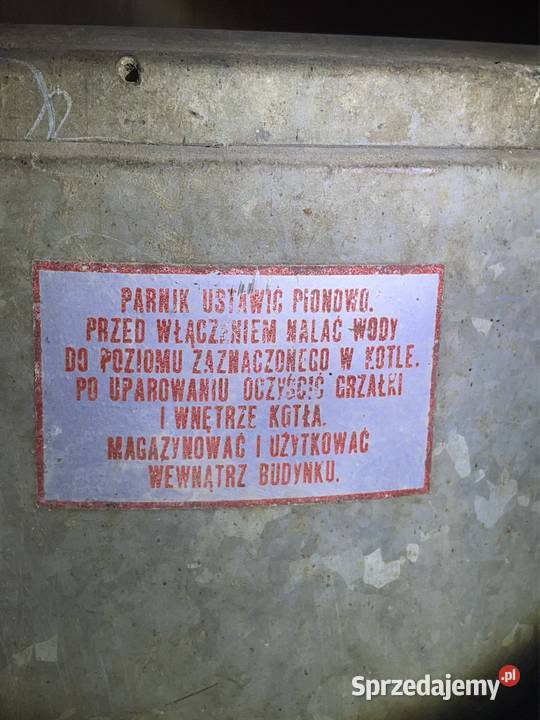 Parnik elektryczny 100 litrów Pozostałe Nasutów sprzedam