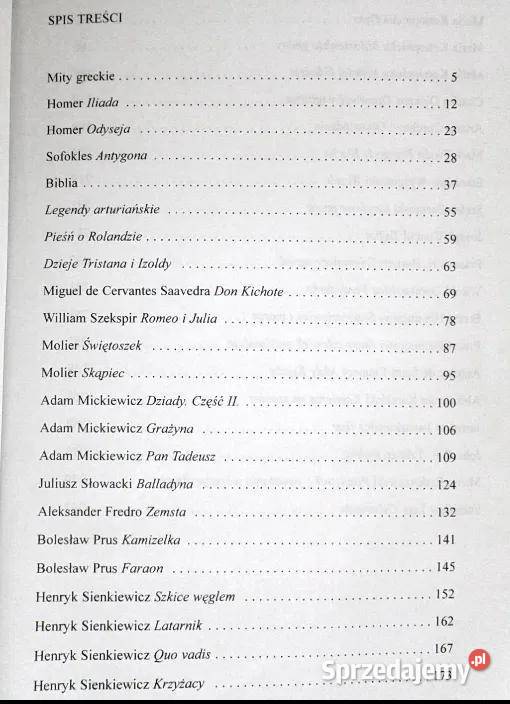 Opracowania lektur klas 1 do 3 gimnazju E Lech lubelskie Chełm sprzedam