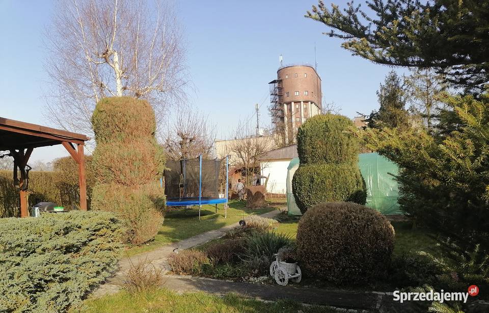 Działka rekreacyjnaogródek działkowy Sprzedaż Racibórz