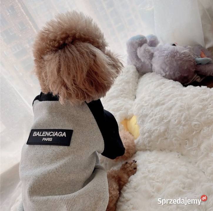 Nowa bluza ubranko psa Balenciaga XXS3XL Warszawa