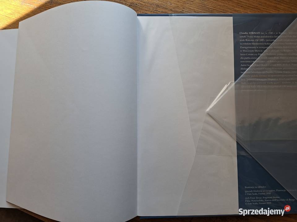 Rafael Claudio Strinati Jedność twarda z obwolutą Kraków