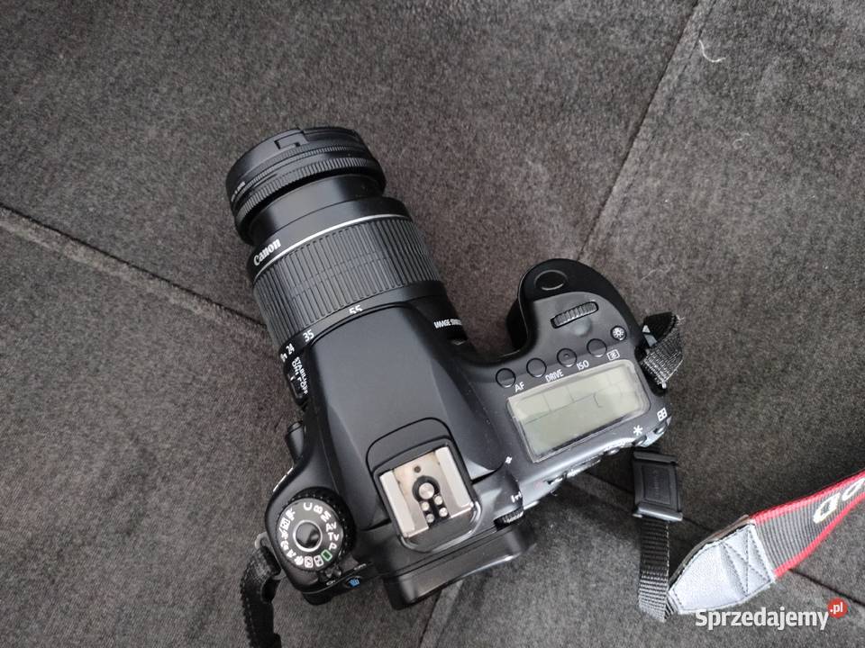 canon 60 d lubuskie Szprotawa