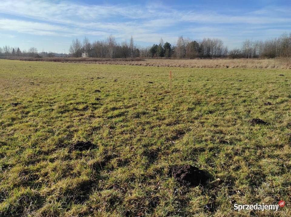 3 Działki Budowlane obok siebie 997 m2 MPZP mazowieckie Węszelówka