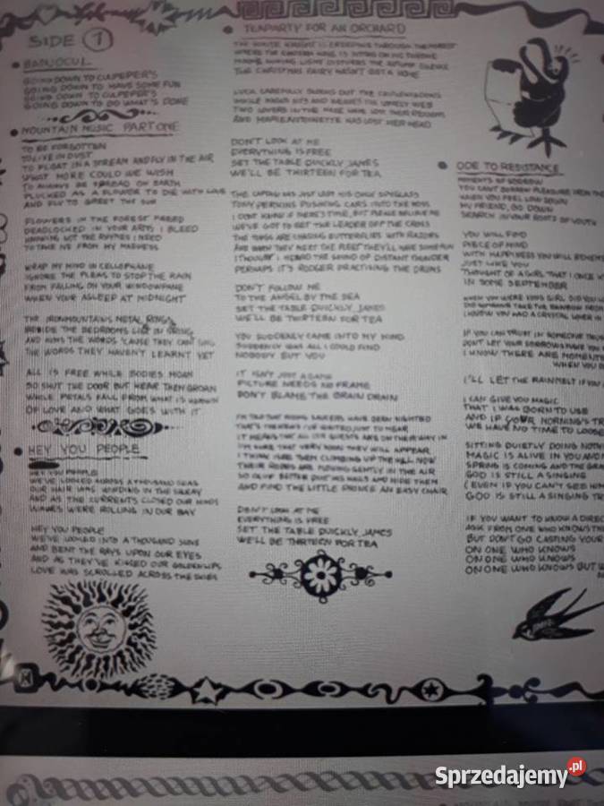 Perełka kolekcjonerska Prog Rocka CULPEPERS Rzeszów