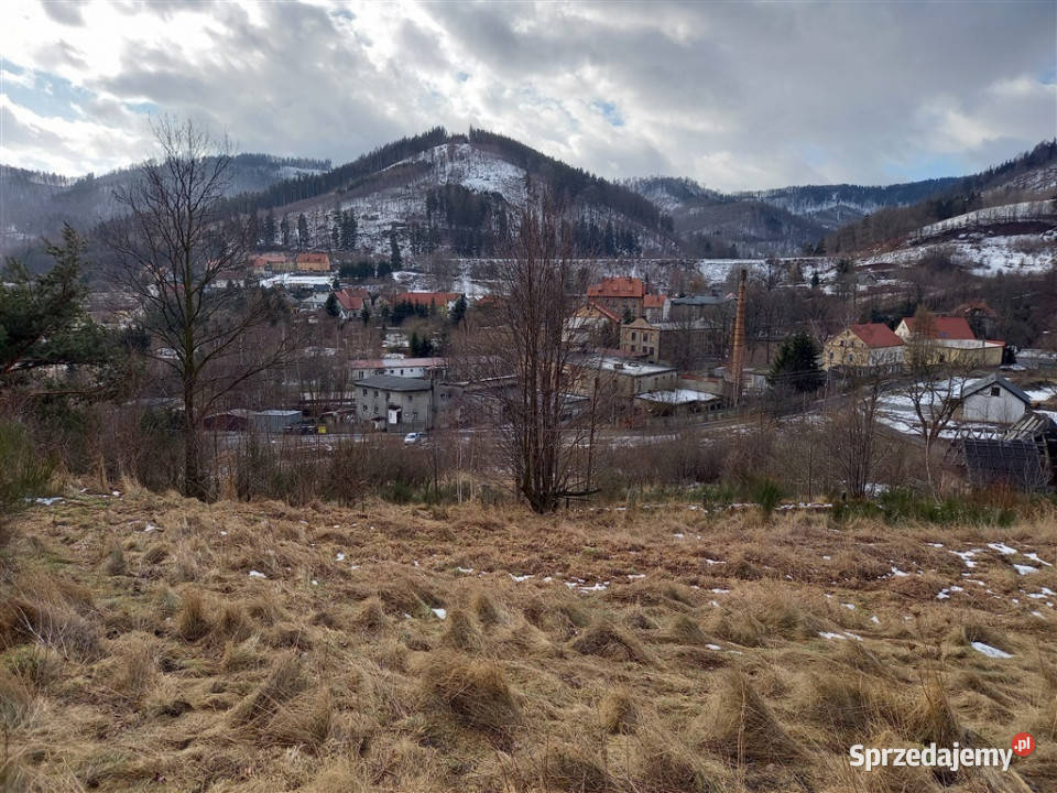 Grunt do sprzedania JedlinaZdrój Sprzedaż Jedlina-Zdrój sprzedam