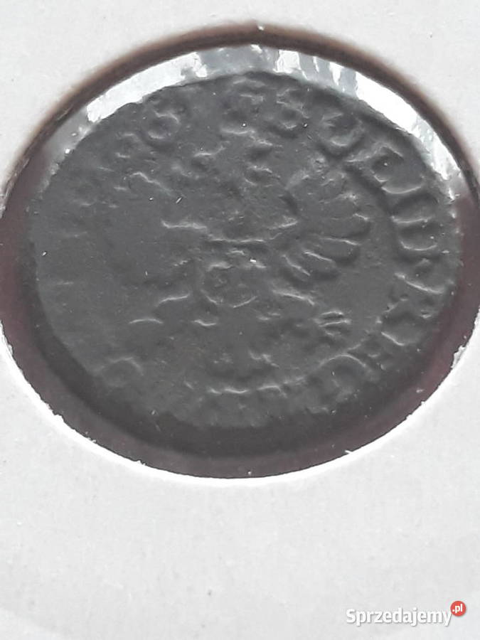 Szeląg Koronny 1666 r Jan II Kazimierz J Konin