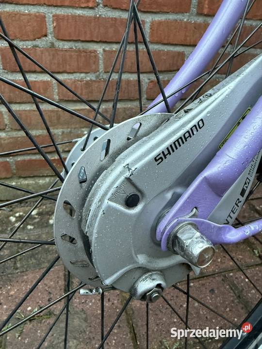 Gazelle 28 3 biegi Shimano Nexus Turek