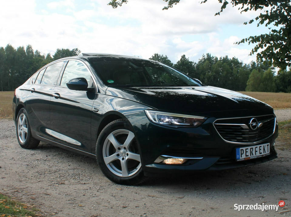 Opel Insignia B 20 D 170 Full LED Skóra SZYBER pomorskie Zielenin