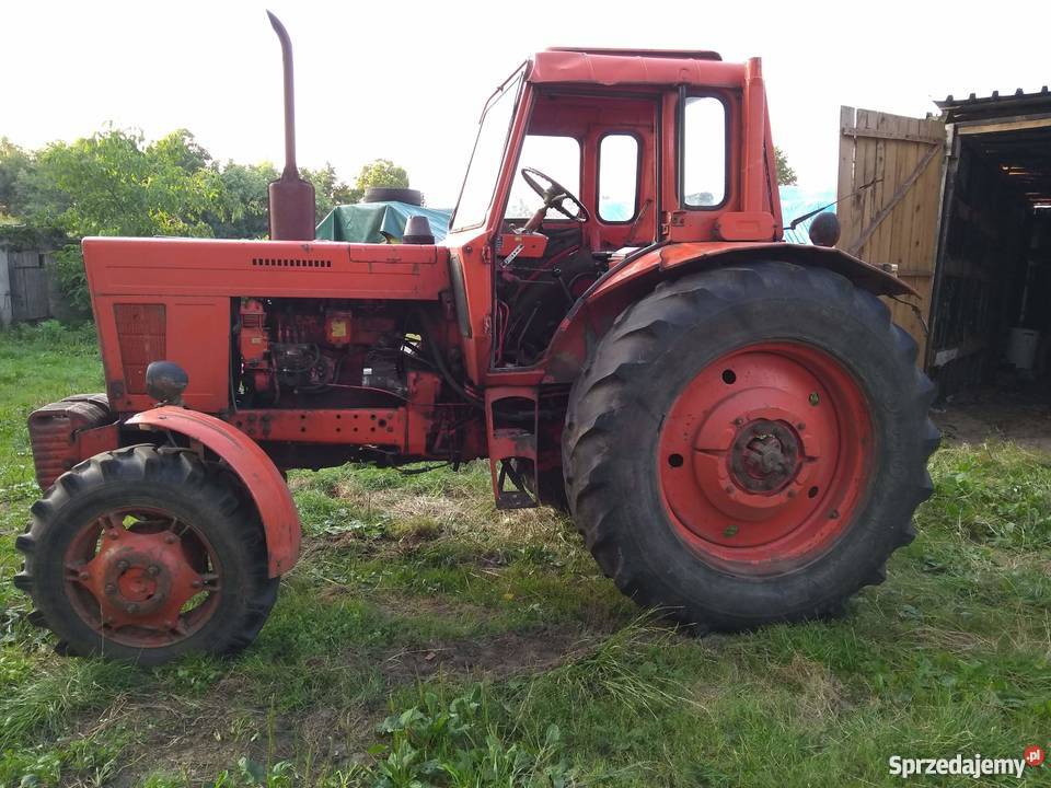 Mtz 82 Ciągniki Dobrzyń nad Wisłą