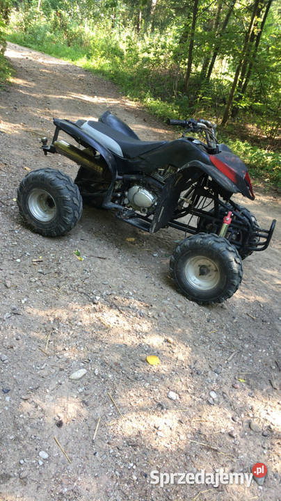 Sprzedam bashan 200 sprzedam