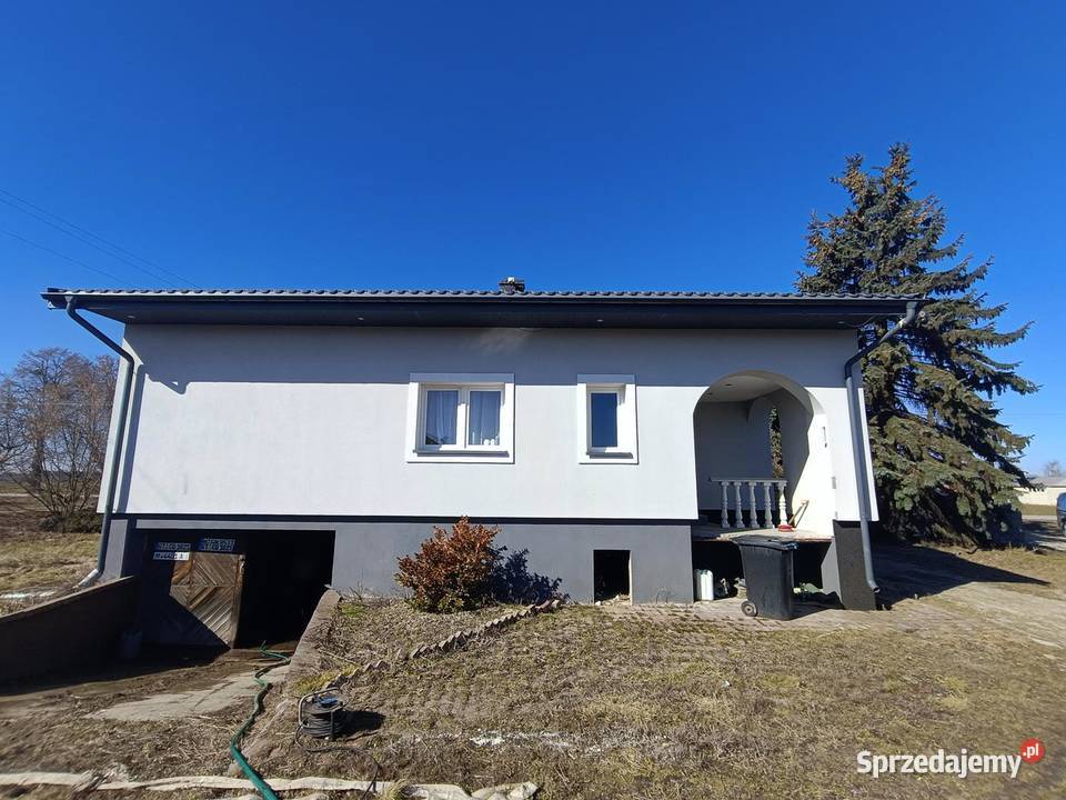 Syndyk sprzeda Rogalin Sprzedaż