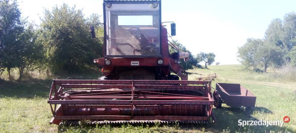 Bizon 56 Morawica