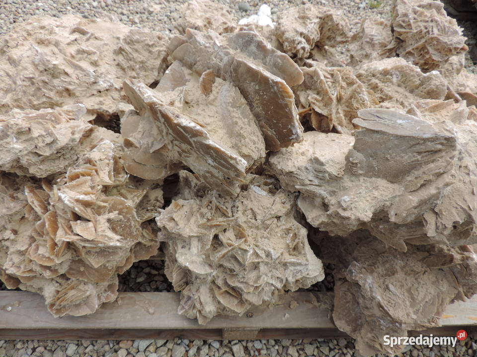 Róża Pustyni Kamień do akwarium bryła do ogrodu Oświęcim