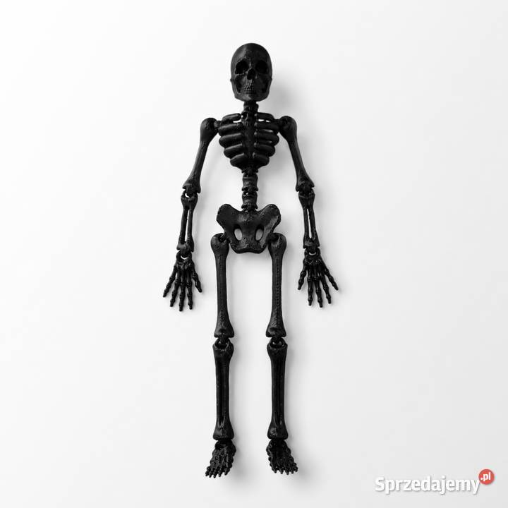 Ruchomy szkielet FLEXI 3D figurka dekoracyjna Sieradz