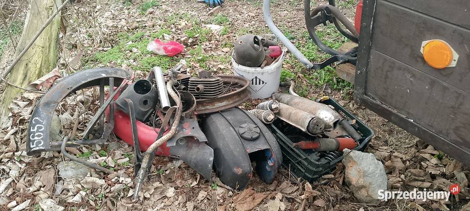 wsk 125 dzik rama Międzychód sprzedam