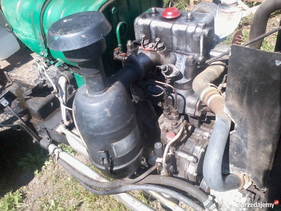 Sam ursus c 330 328 Wola Rzędzińska