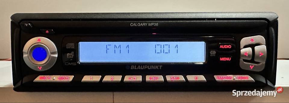 Blaupunkt Calgary MP36 Toruń