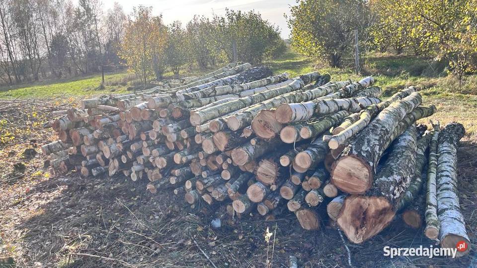 Drewno opałowekominkowe dąb brzoza sosna Opał Starachowice sprzedam