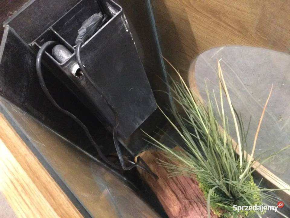 Akwarium w drewnianej obudowie Akwarystyka Kozubszczyzna