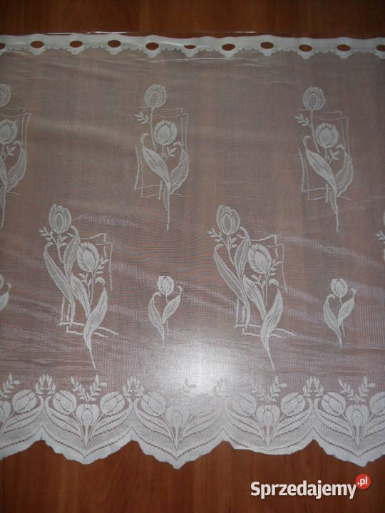 zazdroska krótka firanka 47 70 Wrocław