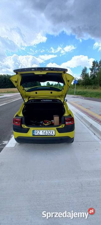 Citron C4 Cactus 12 PureTech Nowa Sarzyna