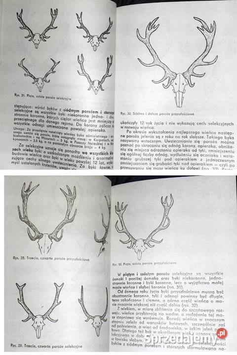 Podręcznik selekcjonera zwierzyny Tadeusz Pozostałe Chełm