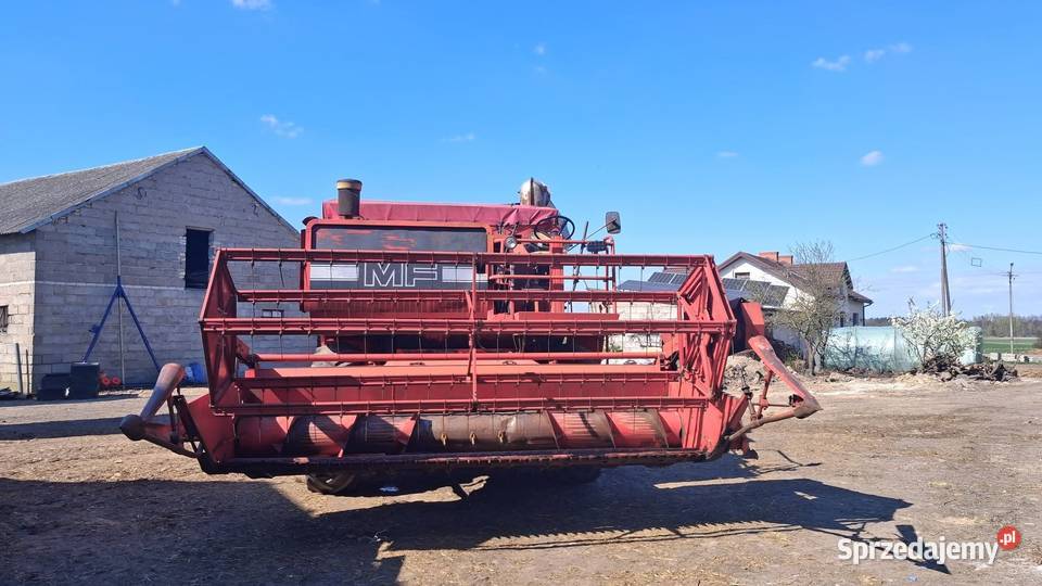 Kombajn Massey Ferguson MF 805 Dąbie