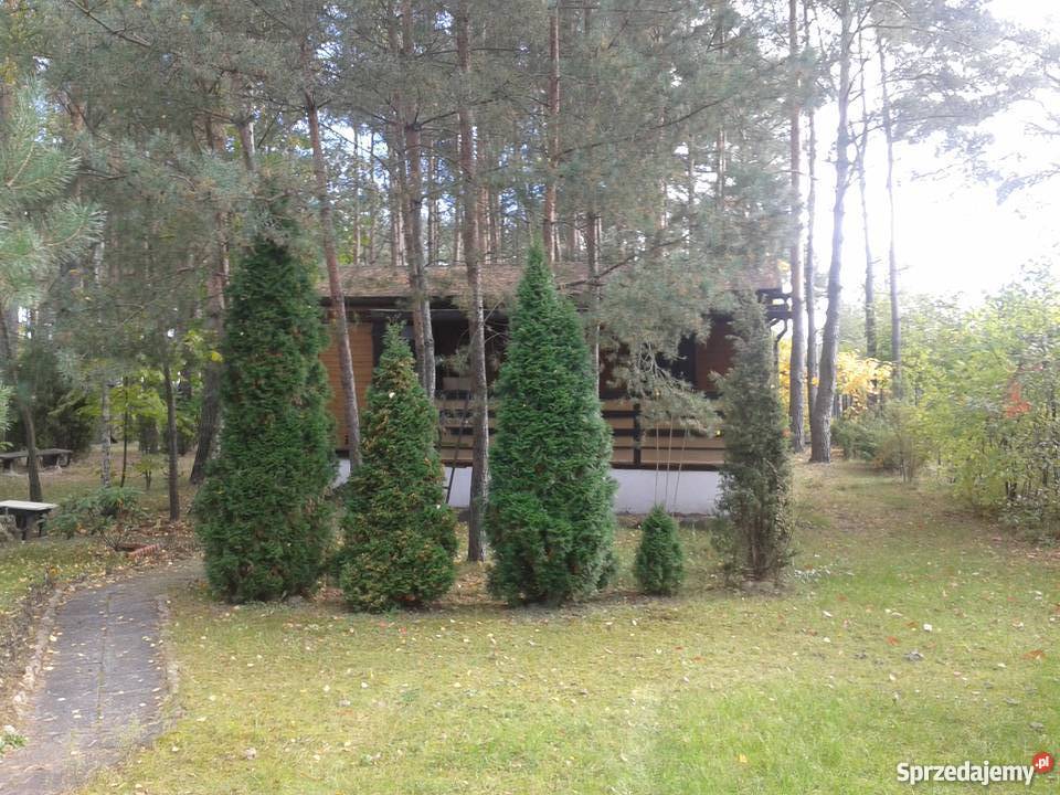 Leśna działka z domkiem Błędowo kPomiechówka Błędowo