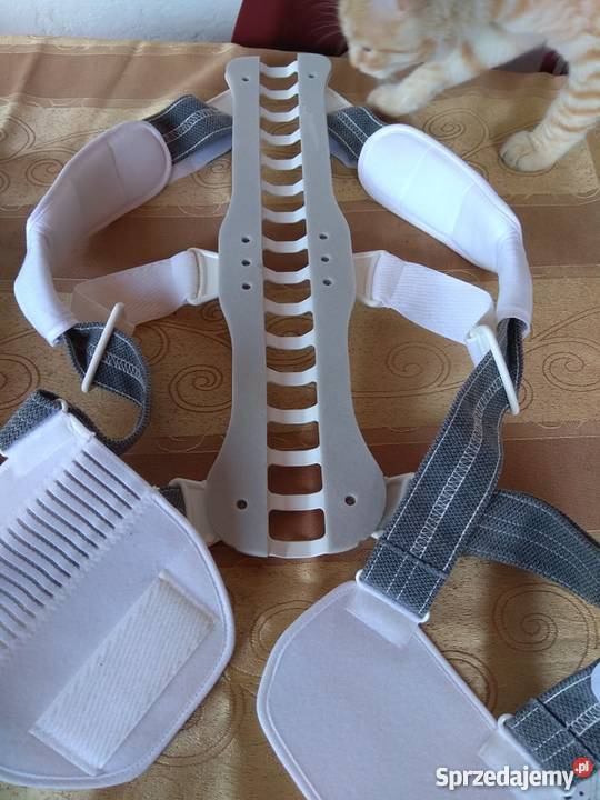 Orteza Tułowia kręgosłupa Spinomed Medi Poznań sprzedam