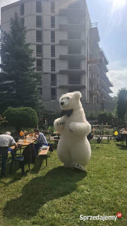 Żywa Maskotka Biały Miś XXL Atrakcja na Imprezy Piasek